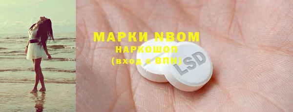 индика Бронницы