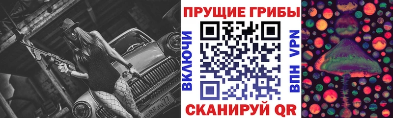 Псилоцибиновые грибы GOLDEN TEACHER blacksprut ССЫЛКА Карабаново
